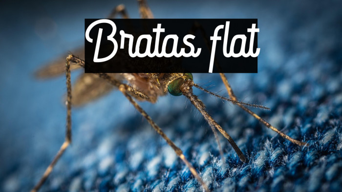 Bratas flat Example 1