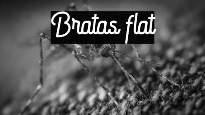 Bratas flat Font examples
