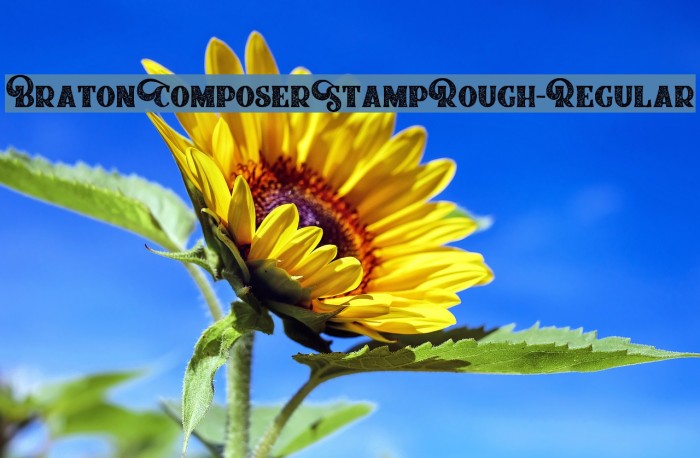 BratonComposerStampRough-Regular Example 3