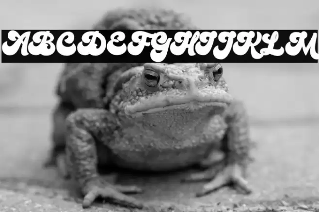 Bratsy Script Demo Reguler Font examples