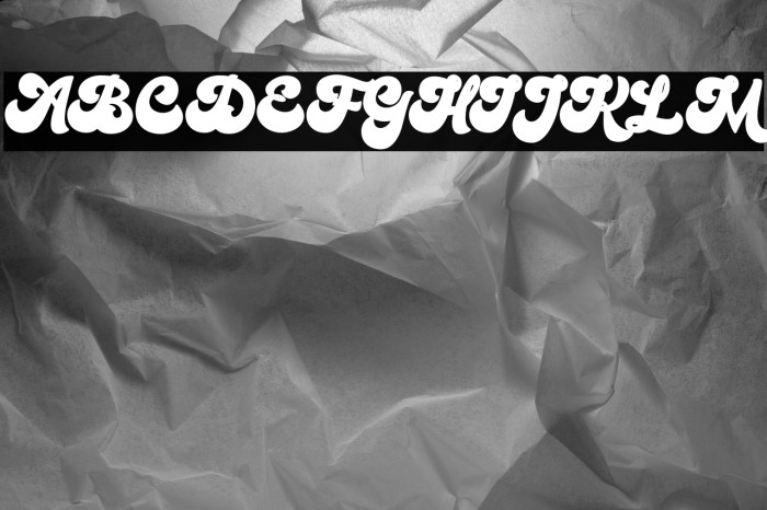 Bratsy Script Demo Reguler Example 3