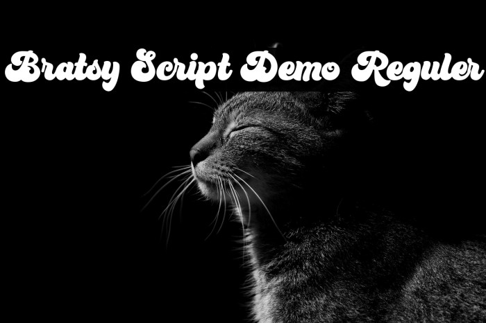 Bratsy Script Demo Reguler Example 2