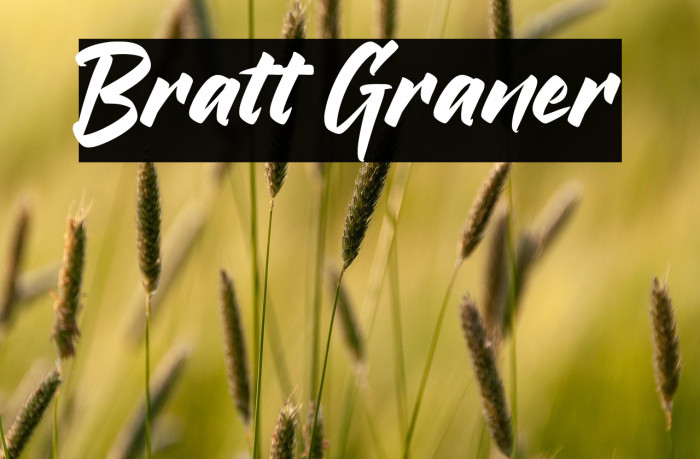 Bratt Graner Example 1
