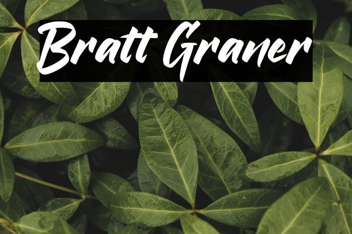 Bratt Graner Example 2
