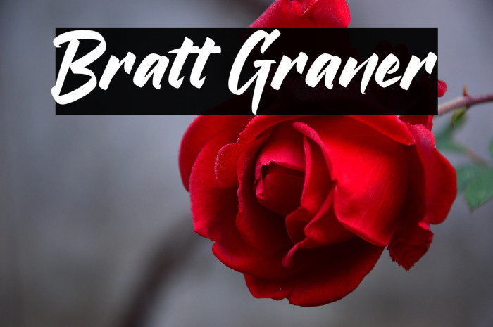 Bratt Graner Example 3