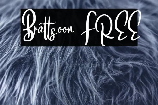 Brattsoon FREE Example 2