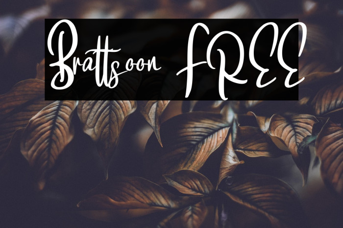 Brattsoon FREE Example 3