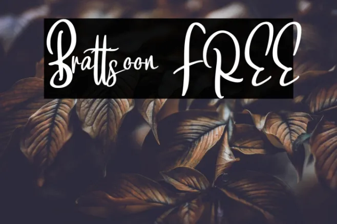 Brattsoon FREE Example 3