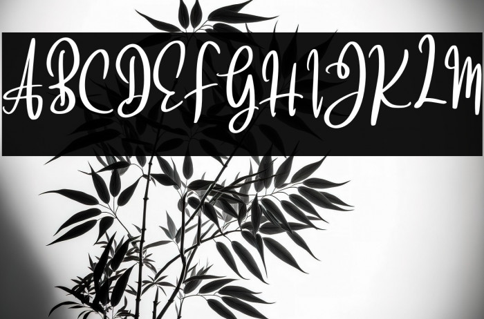 BrattsoonFREE Example 2