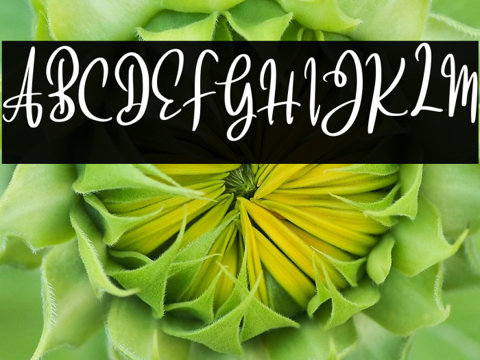 BrattsoonFREE Example 3