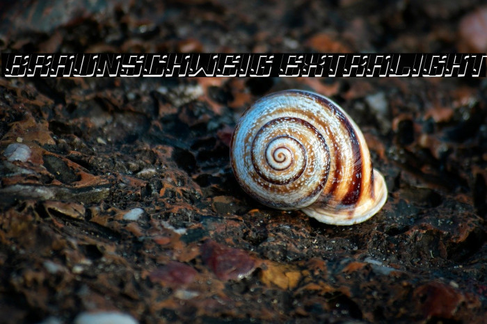 Braunschweig ExtraLight Example 1