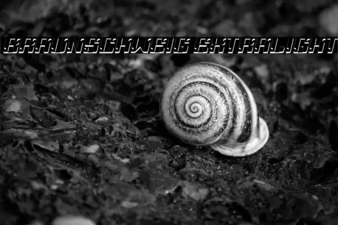 Braunschweig ExtraLight Font examples