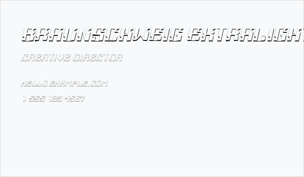 Braunschweig ExtraLight Business Card