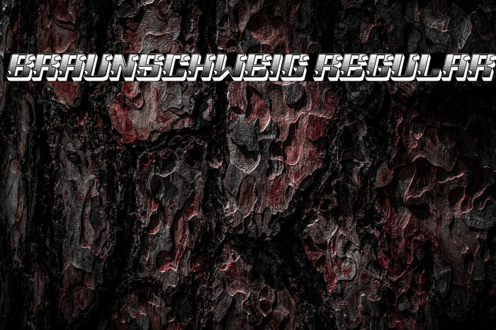 Braunschweig Regular Example 1