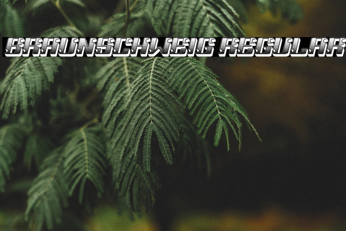 Braunschweig Regular Example 3