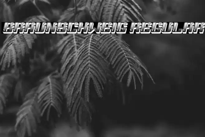 Braunschweig Regular Font examples