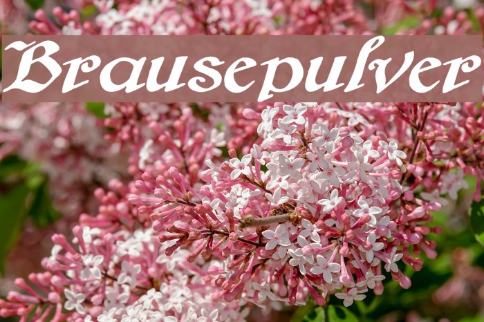 Brausepulver Font examples