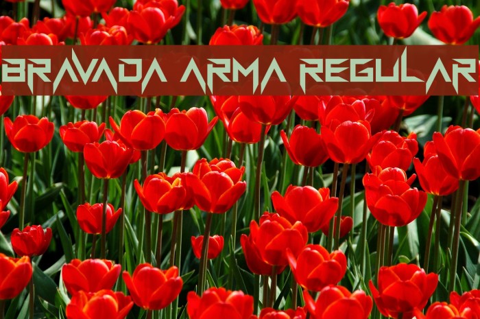 BravAda Arma Regular Font examples