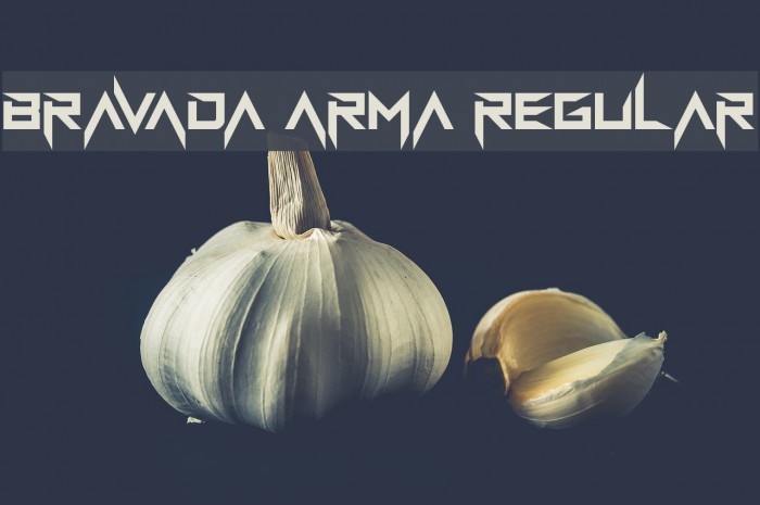 BravAda Arma Regular Font examples