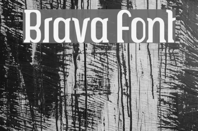 Brava Font examples
