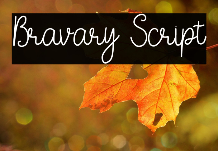 Bravary Script Example 1
