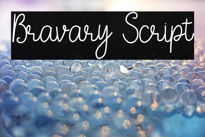 Bravary Script Example 2