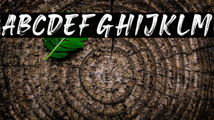 Brave Gates Personal use Example 2