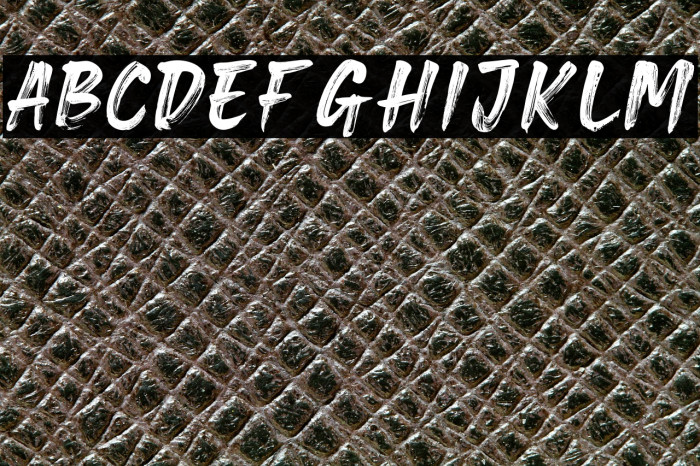 Brave Gates Personal use Example 3