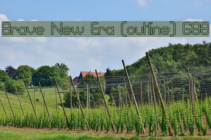 Brave New Era [outline] G98 Example 1