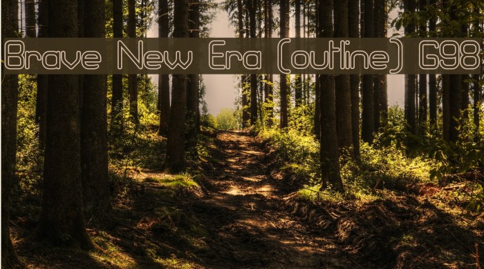 Brave New Era [outline] G98 Example 2