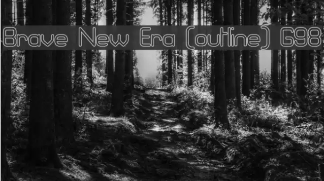 Brave New Era [outline] G98 Font examples
