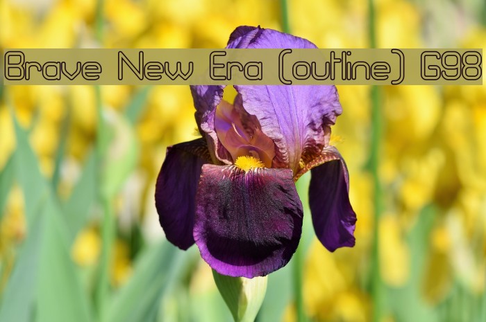 Brave New Era [outline] G98 Example 3