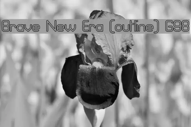 Brave New Era [outline] G98 Font examples