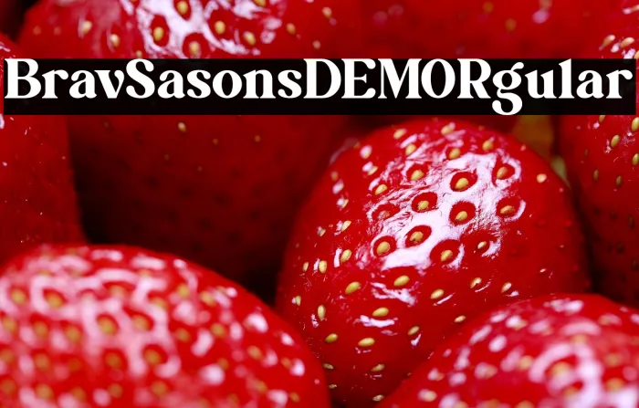 Brave Seasons DEMO Regular Example 3