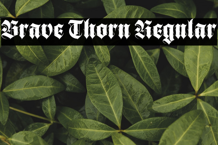 Brave Thorn Regular फ़ॉन्ट examples