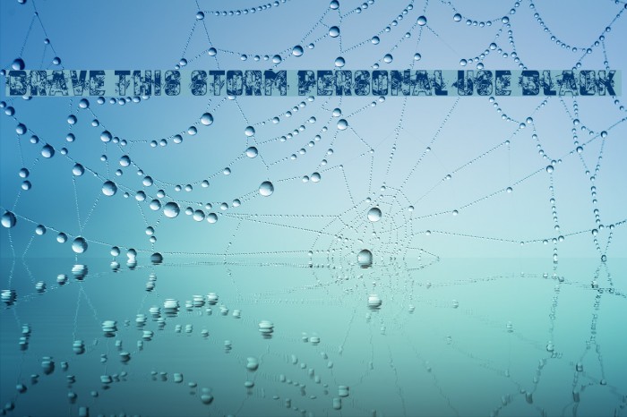 Brave this Storm Personal USE Black Example 3