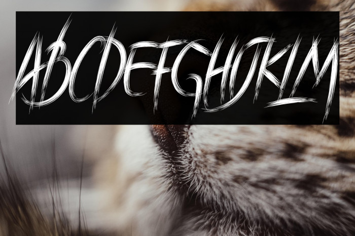 BraveHeart Example 2