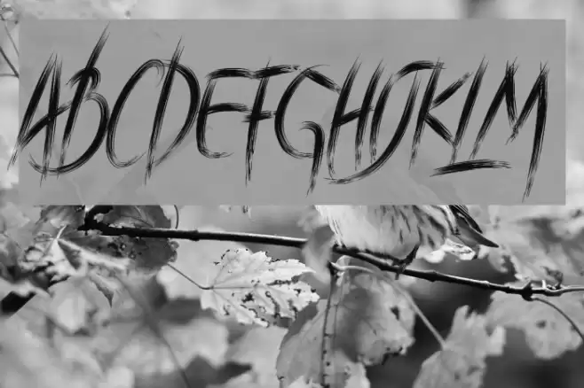 BraveHeart Font examples