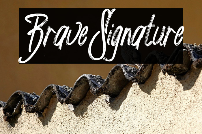 Brave_Signature Example 1