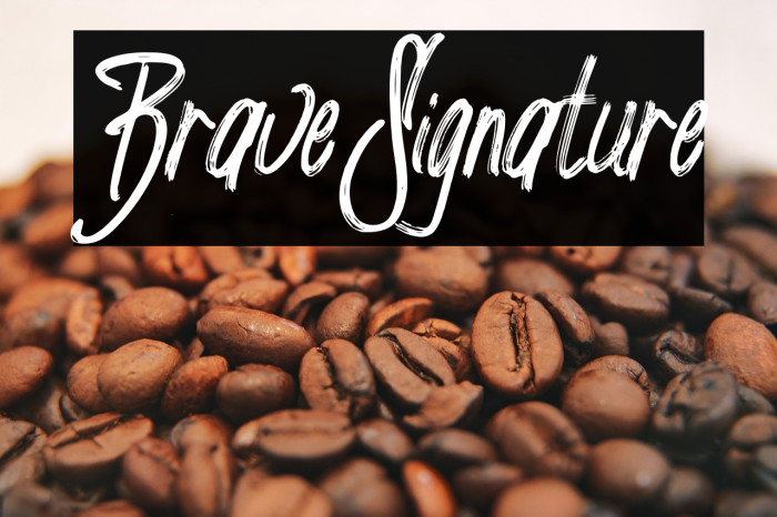 Brave_Signature Example 3