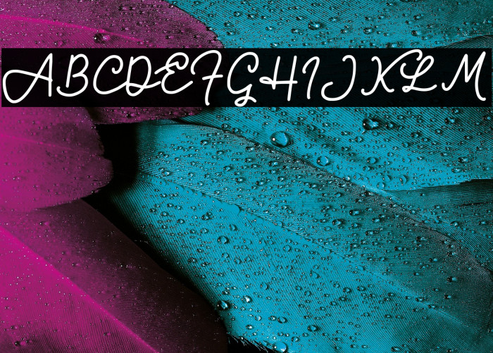 Bravo Charlie Script -Demo- Example 1