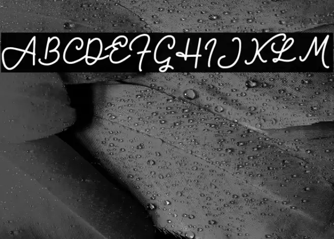 Bravo Charlie Script -Demo- Font examples