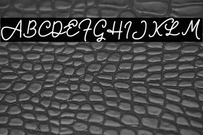 Bravo Charlie Script -Demo- Font examples