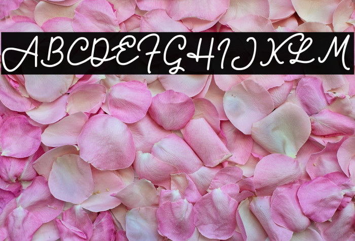 Bravo Charlie Script -Demo- Example 3