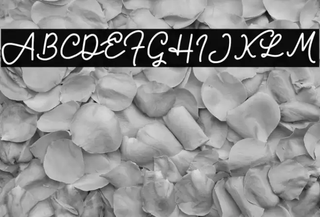 Bravo Charlie Script -Demo- Font examples