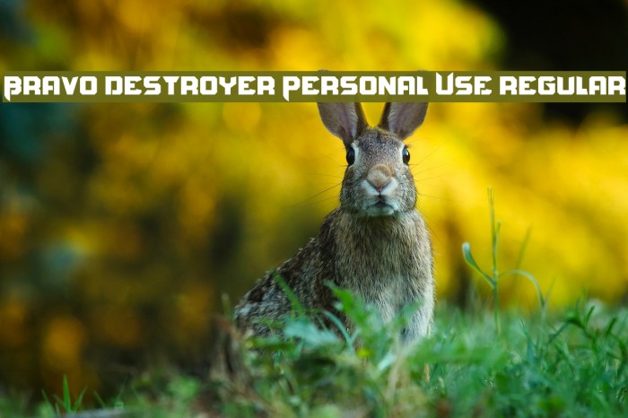 Bravo Destroyer Personal USE regular फ़ॉन्ट examples