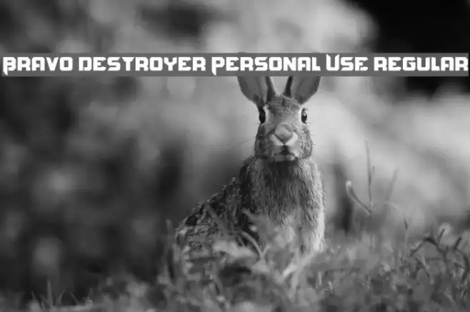 Bravo Destroyer Personal USE regular Font examples