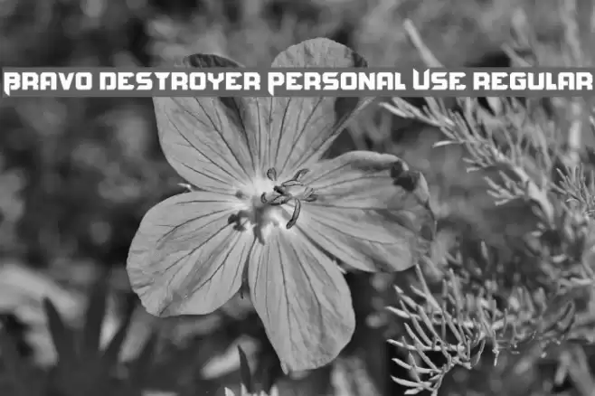 Bravo Destroyer Personal USE regular Font examples