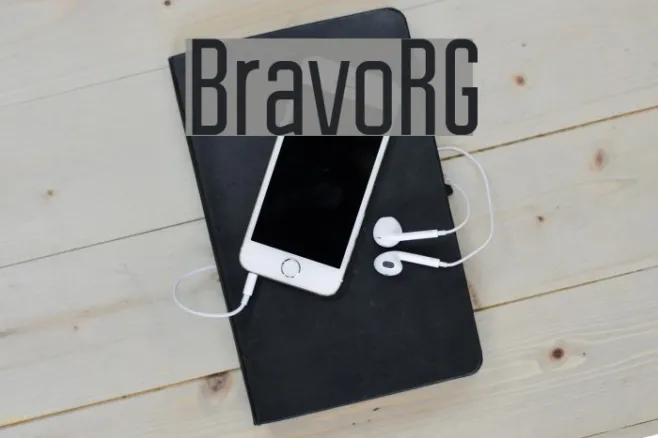 BravoRG Example 1