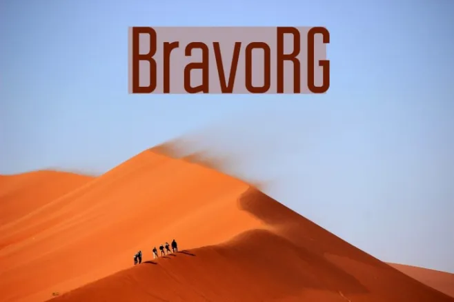 BravoRG Example 3